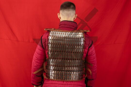 Ламеллярный панцирь из Бирки, Швеция, 10 век, вид со спины