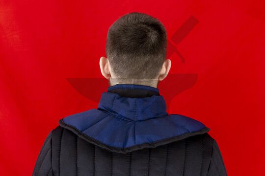 Оплечье стеганое, 3 слоя, грета, вид сзади, синий