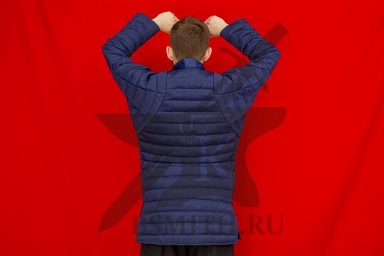 Пурпуэн Карла де Блуа упрощенный, грета, вид со спины с поднятыми руками