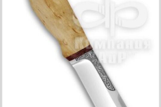 Нож Тундра, рукоять наборная береста, фото